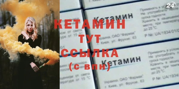 крисы Абаза
